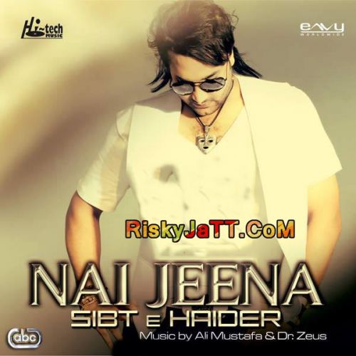 Nai Jeena By Sibt E Haider, Dr Zeus and others... full album mp3 free download 