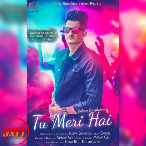 Download Tu Meri Hai Rohan Singhania mp3 song, Tu Meri Hai Rohan Singhania full album download