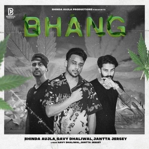 Download Bhang Bhinda Aujla, Gavy Dhaliwal mp3 song, Bhang Bhinda Aujla, Gavy Dhaliwal full album download