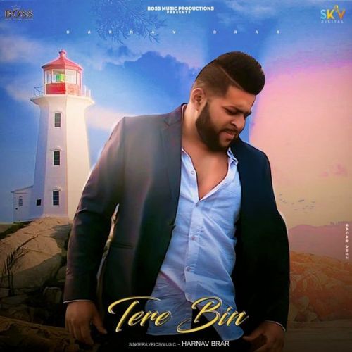 Download Tere Bin Harnav Brar mp3 song, Tere Bin Harnav Brar full album download