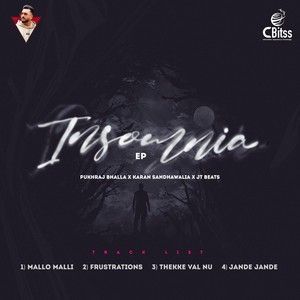 Insomnia - EP By Pukhraj Bhalla and Karan Sandhawalia full album mp3 free download 