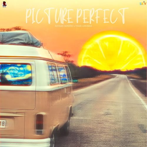 Download Picture Perfect Navaan Sandhu mp3 song, Picture Perfect Navaan Sandhu full album download