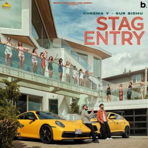 Download Stag Entry Cheema Y mp3 song, Stag Entry Cheema Y full album download