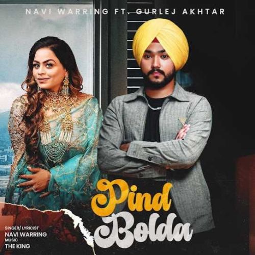 Download Pind Bolda Navi Warring mp3 song, Pind Bolda Navi Warring full album download