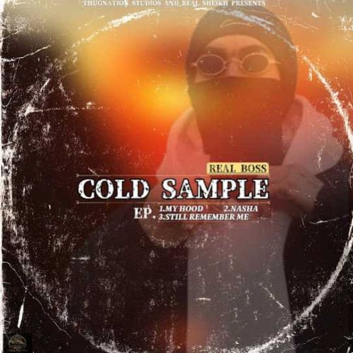 COLD SAMPLE By Real Boss full album mp3 free download 