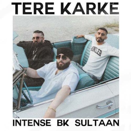 Download Tere Karke BK, Sultaan mp3 song, Tere Karke BK, Sultaan full album download