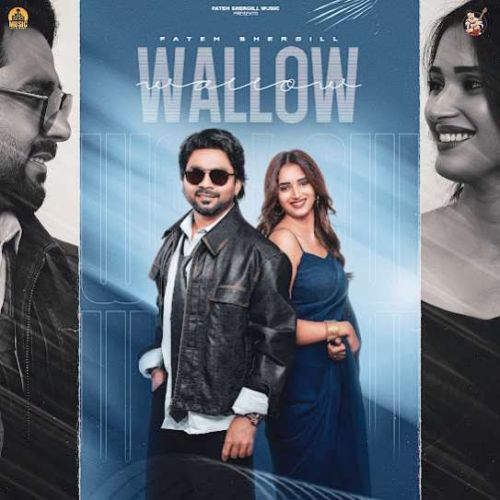 Download Wallow Fateh Shergill mp3 song, Wallow Fateh Shergill full album download