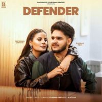 Download Defender Rabaab PB31 mp3 song, Defender Rabaab PB31 full album download