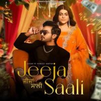 Download Jeeja Saali Jigar mp3 song, Jeeja Saali Jigar full album download