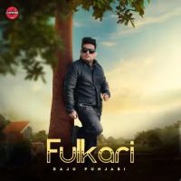 Download Fulkari Raju Punjabi mp3 song, Fulkari Raju Punjabi full album download