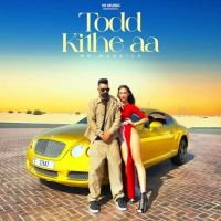 Download Todd Kithe Aa Mr Waraich mp3 song, Todd Kithe Aa Mr Waraich full album download