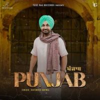 Download Punjab Ravinder Grewal mp3 song, Punjab Ravinder Grewal full album download