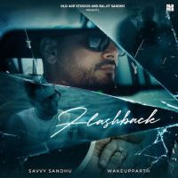 Download Flashback Savvy Sandhu mp3 song, Flashback Savvy Sandhu full album download