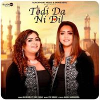 Download Todi Da Ni Dil Hashmat Sultana mp3 song, Todi Da Ni Dil Hashmat Sultana full album download
