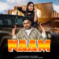 Download Naam Ashu Twinkle mp3 song, Naam Ashu Twinkle full album download