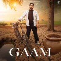 Download Gaam Bintu Pabra mp3 song, Gaam Bintu Pabra full album download