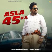 Download Asla 45 Ka Surender Romio, Ashu Twinkle mp3 song, Asla 45 Ka Surender Romio, Ashu Twinkle full album download
