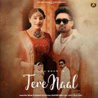 Download Tere Naal Nav Brar mp3 song, Tere Naal Nav Brar full album download
