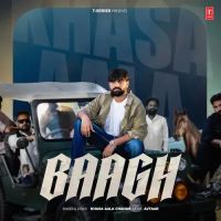 Download Baagh Khasa Aala Chahar mp3 song, Baagh Khasa Aala Chahar full album download